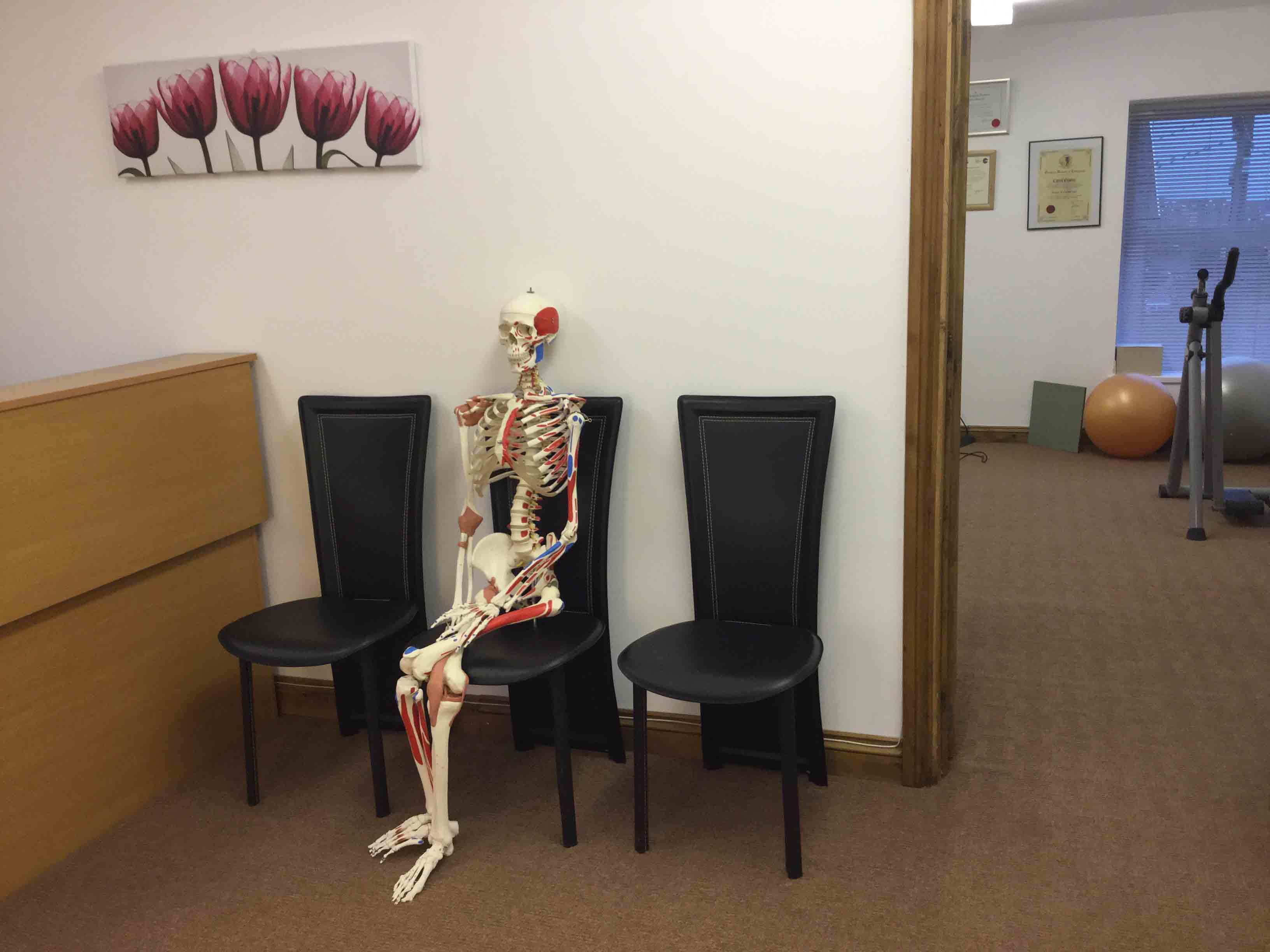 Skeleton